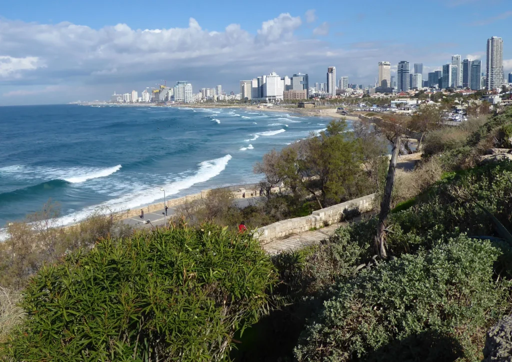 Kalifornischer israelischer Anwalt für Immobilien in Israel